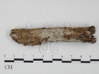 登錄號:F0004089藏品圖，第1張