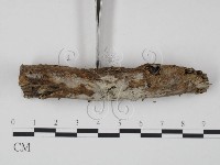 登錄號:F0004089藏品圖，第3張