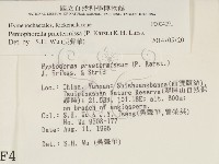 登錄號:F0004091藏品圖，第2張