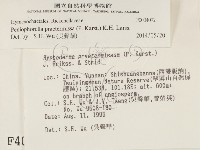 登錄號:F0004092藏品圖，第2張