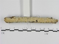 登錄號:F0004092藏品圖，第1張