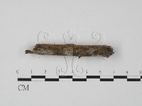 登錄號:F0004093藏品圖，第3張