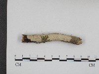 登錄號:F0004094藏品圖，第1張