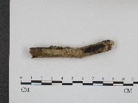 登錄號:F0004094藏品圖，第3張