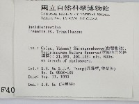 登錄號:F0004095藏品圖，第2張