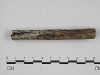 登錄號:F0004095藏品圖，第1張