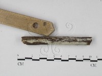 登錄號:F0004095藏品圖，第4張