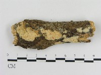 登錄號:F0004096藏品圖，第1張