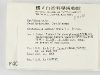 冇骨消絲齒菌藏品圖，第2張