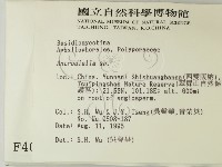 登錄號:F0004099藏品圖，第2張