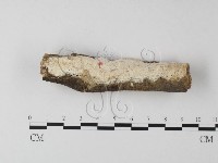 登錄號:F0004099藏品圖，第1張