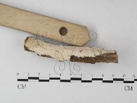 登錄號:F0004099藏品圖，第3張