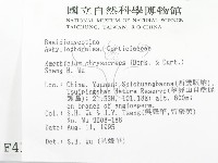 登錄號:F0004100藏品圖，第2張