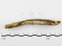 登錄號:F0004100藏品圖，第3張