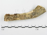 登錄號:F0004100藏品圖，第5張