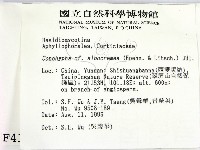 登錄號:F0004101藏品圖，第2張