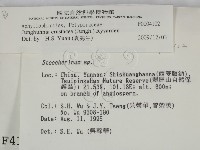 登錄號:F0004102藏品圖，第2張