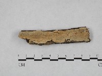 登錄號:F0004102藏品圖，第1張