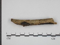 登錄號:F0004103藏品圖，第3張