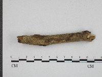 登錄號:F0004103藏品圖，第4張