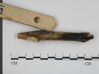 登錄號:F0004103藏品圖，第5張