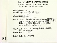 顯絲菌屬藏品圖，第2張