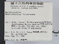 登錄號:F0004106藏品圖，第2張