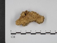 登錄號:F0004106藏品圖，第3張