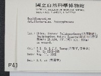 登錄號:F0004107藏品圖，第2張