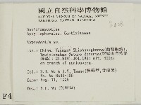 絲齒菌屬藏品圖，第2張