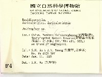 登錄號:F0004109藏品圖，第2張