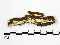 登錄號:F0004109藏品圖，第1張