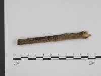 登錄號:F0004110藏品圖，第1張