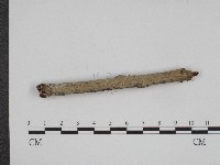 登錄號:F0004110藏品圖，第3張