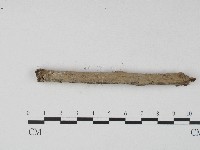 登錄號:F0004110藏品圖，第5張