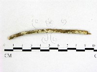 登錄號:F0004111藏品圖，第1張