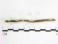 登錄號:F0004111藏品圖，第3張