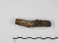 登錄號:F0004113藏品圖，第1張