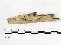 登錄號:F0004114藏品圖，第1張