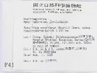 登錄號:F0004115藏品圖，第2張