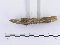 登錄號:F0004115藏品圖，第4張