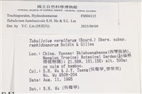 登錄號:F0004115藏品圖，第5張