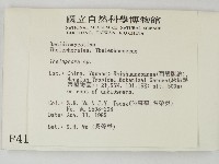 革菌屬藏品圖，第2張