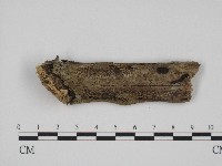 登錄號:F0004118藏品圖，第1張