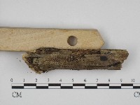 登錄號:F0004118藏品圖，第3張