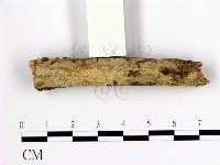館號:F0004119藏品圖，第1張