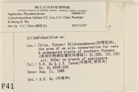 館號:F0004119藏品圖，第3張
