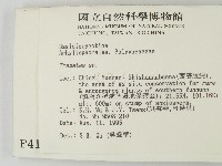 栓菌屬藏品圖，第2張