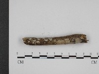 登錄號:F0004123藏品圖，第4張