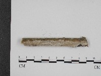 登錄號:F0004124藏品圖，第1張